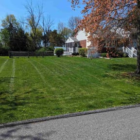 grass cutting by Amby's Lawn Service reviewed on August 21, 2025