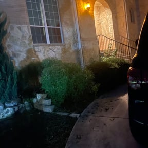 Bush Trimming by Professional Diamond T&C Lawncare/Landscape/Powerwash reviewed on August 18, 2025