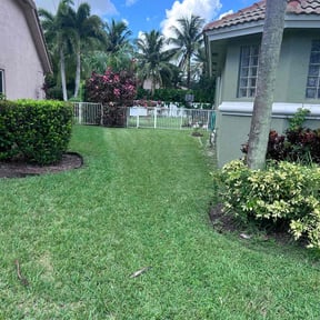 residential landscaping by All Lawn Services reviewed on January 28, 2026