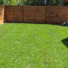lawn care services by Pine Construction L.L.C. reviewed on August 18, 2025