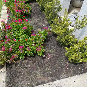 Flower Bed Weeding by Oakwood Landscaping reviewed on November 9, 2017