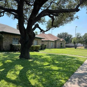 landscape maintenance by Three E's Lawn Care LLC. reviewed on February 4, 2026