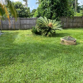 Long Grass Cleanup by Chris Wimler reviewed on August 17, 2025