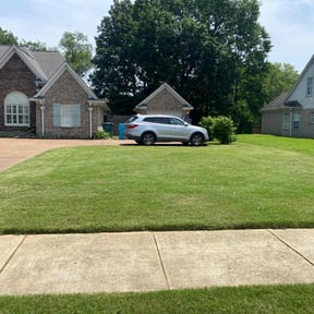 grass maintenance by JAM Property Maintenance reviewed on May 4, 2024