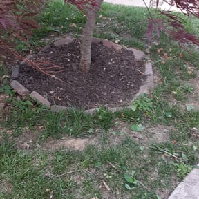 Flower Bed Weeding by Top Hawg lawn care llc reviewed on August 15, 2025