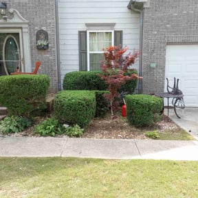 Bush Trimming by Felicianos Lawn Maintenance LLC reviewed on November 6, 2023