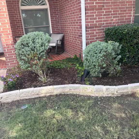 Bush Trimming by Moore lawn care reviewed on November 22, 2025