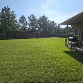 yard maintenance by T's Mow Blow & Go reviewed on August 21, 2025