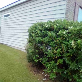 Bush Trimming by Justin Moore reviewed on August 12, 2023