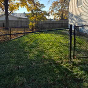 Leaf Removal by Bonsai Landscaping &amp; Designs reviewed on October 19, 2025