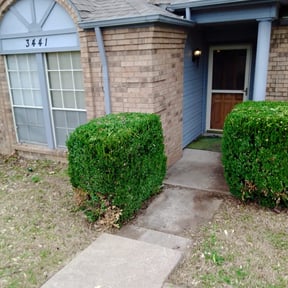 Bush Trimming by Marvin's Services LLC reviewed on August 20, 2025