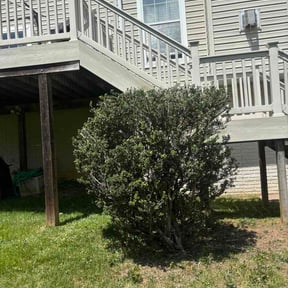 Bush Trimming by Greenway Lawn Services reviewed on June 5, 2026