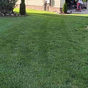 landscaping by Amelia’s landscape reviewed on August 18, 2025