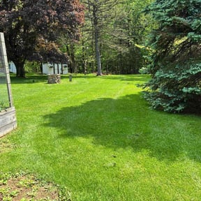 yard service by The Williams reviewed on August 20, 2025