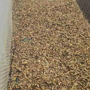 Leaf Removal by Lawn and Labor Services reviewed on March 26, 2026