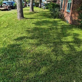 yard service by Hooper House LLC reviewed on August 16, 2025
