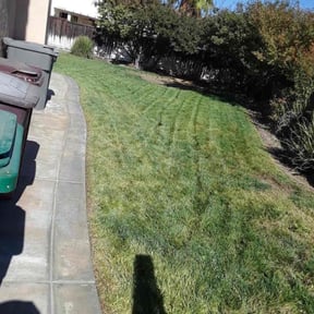 Leaf Removal by Green Earth Lawn and snow LLC reviewed on September 30, 2025