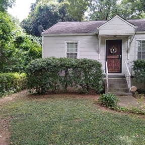 Bush Trimming by Jose Martinez landscape services reviewed on August 18, 2025