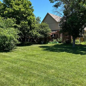 landscaping services by VACAS LAWNCARE LLC reviewed on January 7, 2026