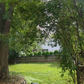 Cleanups by Staples Lawn Care Services reviewed on April 2, 2025