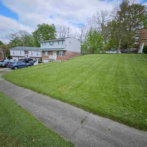 yard work by A Step Above Lawncare } reviewed on November 20, 2025