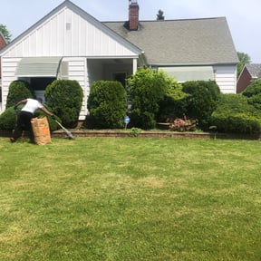 Bush Trimming by Re Image lawn care reviewed on August 17, 2025
