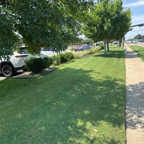 landscape maintenance by Oasis Landscape reviewed on August 19, 2025