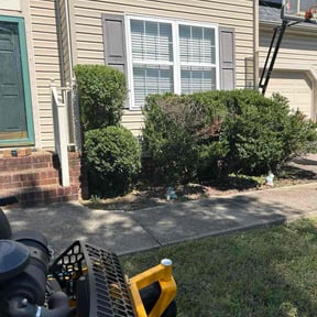 Bush Trimming by Nina construction reviewed on November 22, 2025