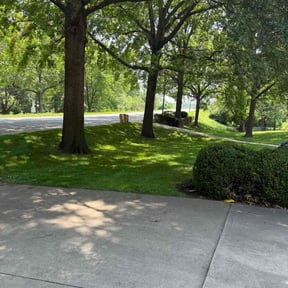 lawn maintenance by Joe Banks reviewed on August 17, 2025