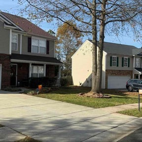 Leaf Removal by Francisco amaya reviewed on November 24, 2025