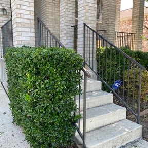 Bush Trimming by Ochoa Landscape and Irrigaton LLC reviewed on August 20, 2025
