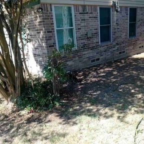 Bush Trimming by KC LAWN PROS LLC reviewed on November 10, 2025