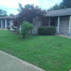 Bush Trimming by 4 You Landscaping LLC reviewed on May 27, 2026