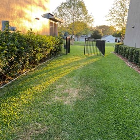 Leaf Removal by David Peters reviewed on September 24, 2025