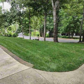 landscaping services by Court Landscaping reviewed on November 24, 2025