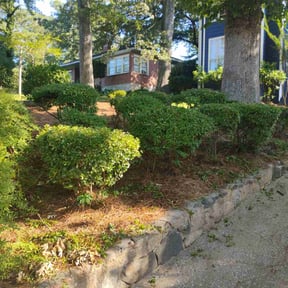 Bush Trimming by 3 Amigos Landscaping  reviewed on November 20, 2025