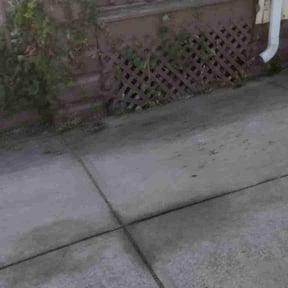 Bush Trimming by Jte lawncare reviewed on October 21, 2025