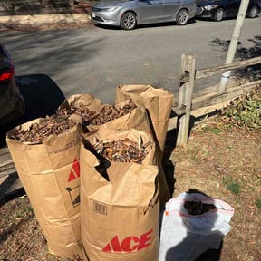 Leaf Removal by Yardcraft Solutions reviewed on March 30, 2026