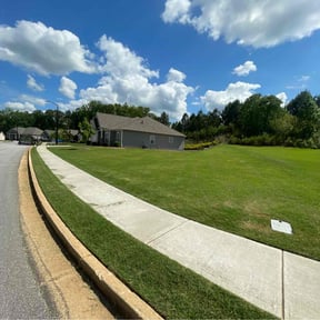 yard care by M D CUSTOM SERVICE SOLUTIONS reviewed on April 29, 2024