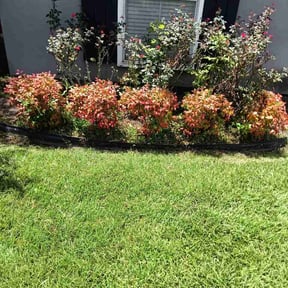 Bush Trimming by CL Lawn &amp; Landscape LLC reviewed on July 26, 2026