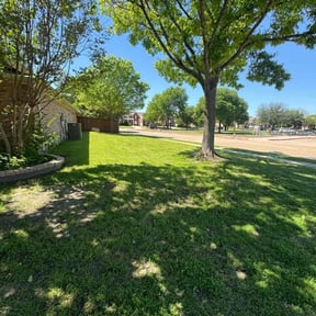 grass cutting by Olsen Landscape Services Inc reviewed on August 18, 2025
