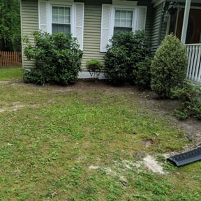 Bush Trimming by Hernandez Family Lawn reviewed on August 19, 2025