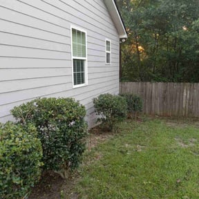 Bush Trimming by Dortch Demo and cleanup reviewed on October 21, 2025