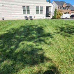 yard work by Escobar lawn care services reviewed on August 10, 2025