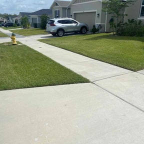 yard maintenance by Allprozllc lawn care reviewed on August 21, 2025