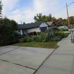 lawn service by Eagle Electric Lawn Care reviewed on March 26, 2025