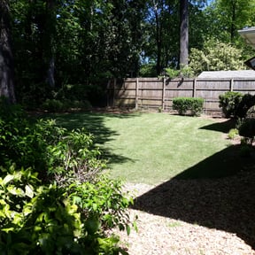Bush Trimming by Wright Cut reviewed on August 20, 2025