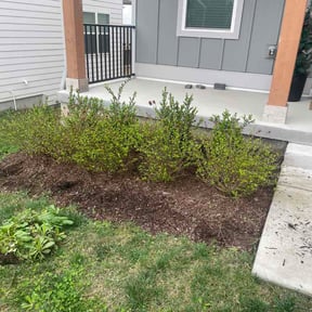 Flower Bed Weeding by Kelly Lawn Care reviewed on April 1, 2026