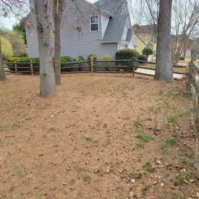 Leaf Removal by Sunny Carolina lawncare services llc reviewed on August 15, 2025