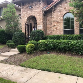 Bush Trimming by EP Remodeling LLC reviewed on March 14, 2024